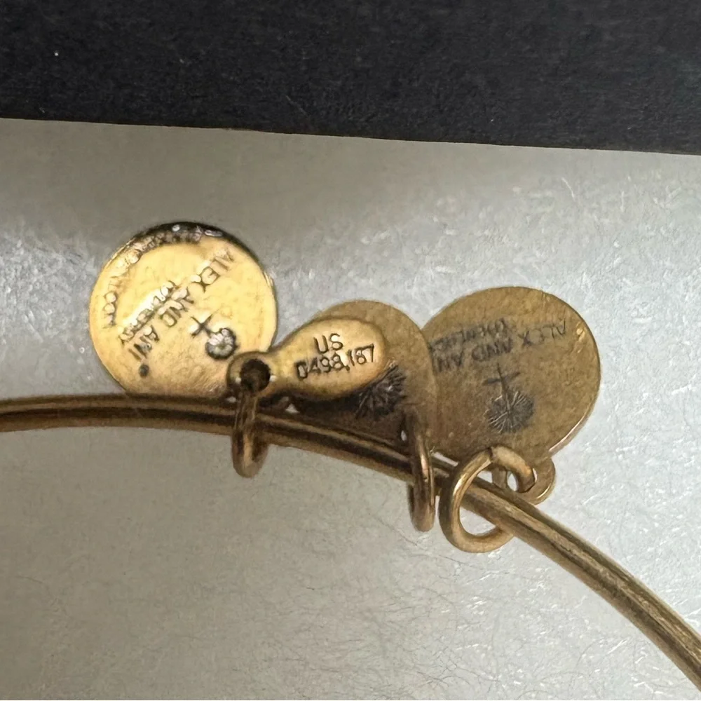 Alex and Ani stylish gold